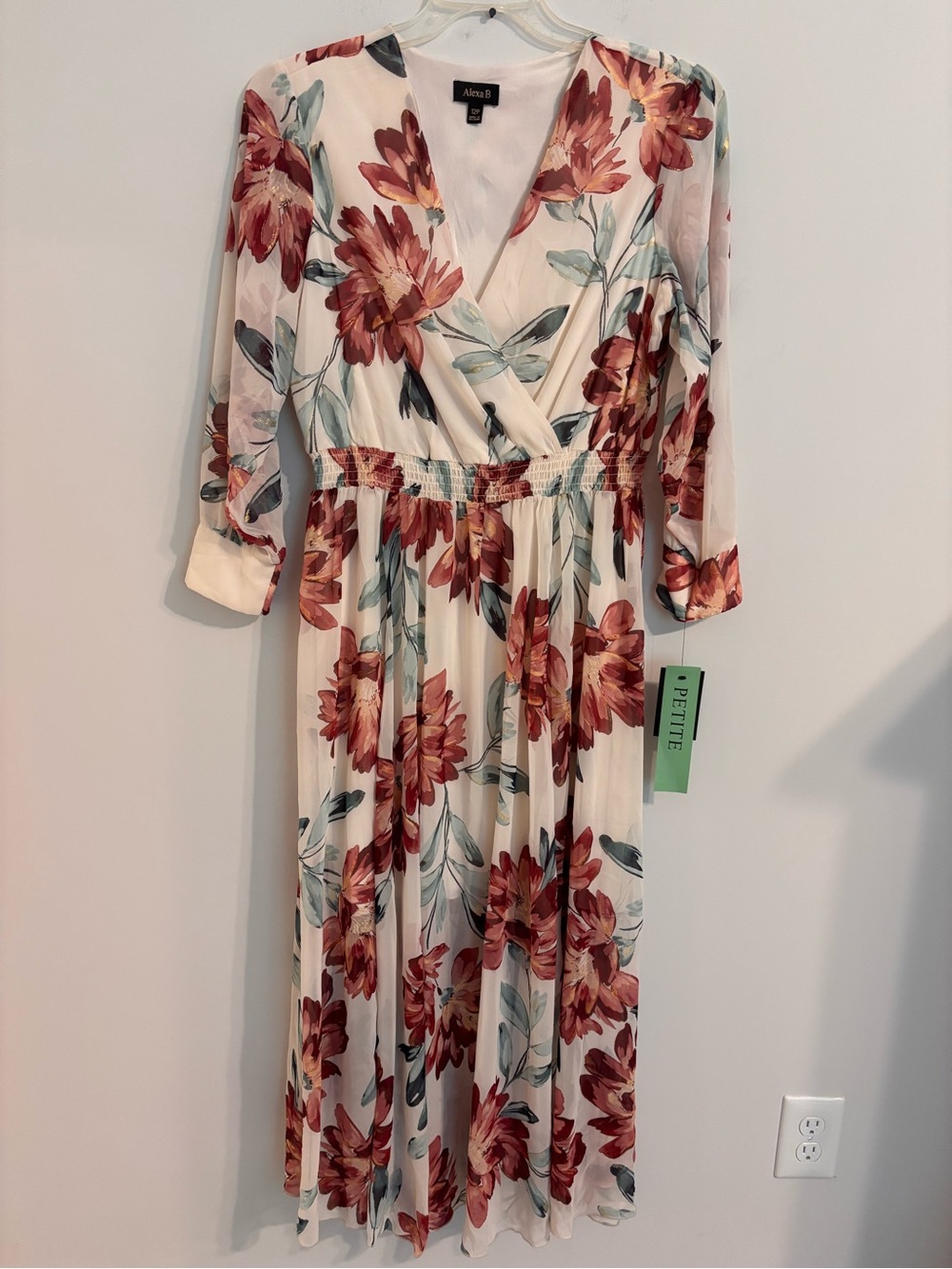 Alexa B NWT vneck chiffon floral maxi dress